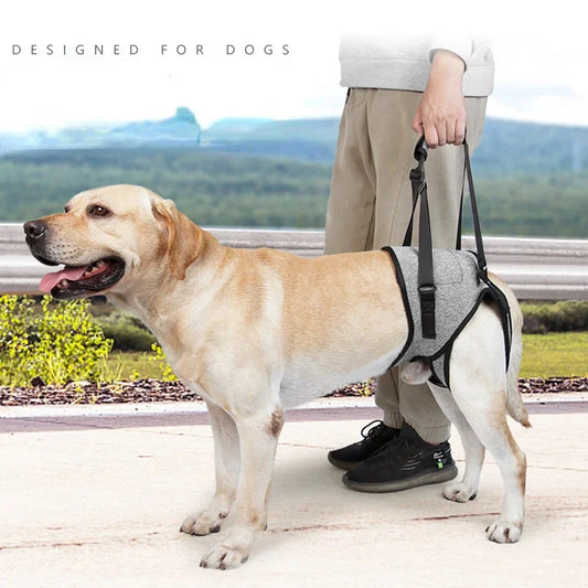 Cinta de Apoio Ajustável para Cães de Grande Porte – Suporte Traseiro Macio e Confortável para Reabilitação de Patas Traseiras