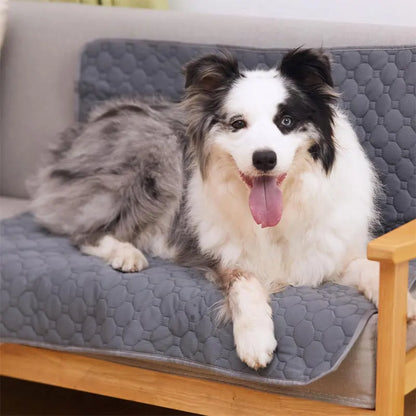 Tapete Higiênico Reutilizável para Cães e Gatos – Impermeável, Lavável e Super Absorvente | Ideal para Treinamento e Proteção de Sofás, Carros e Pisos