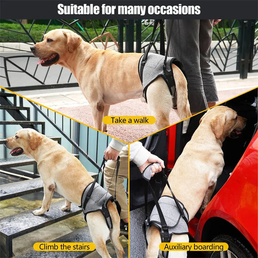 Cinta de Apoio Ajustável para Cães de Grande Porte – Suporte Traseiro Macio e Confortável para Reabilitação de Patas Traseiras