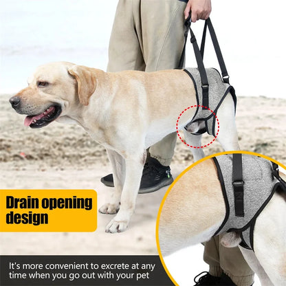 Cinta de Apoio Ajustável para Cães de Grande Porte – Suporte Traseiro Macio e Confortável para Reabilitação de Patas Traseiras